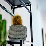 Design Apartment Placa La Font